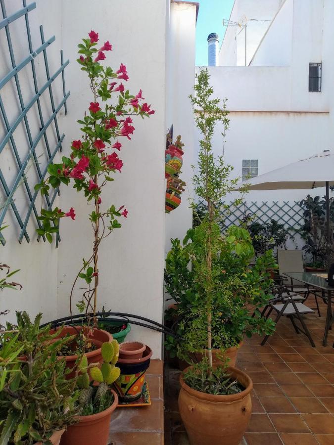 Casa Rural Con Chimenea, Barbacoa, Terraza Y Solarium Villa Illar Eksteriør billede